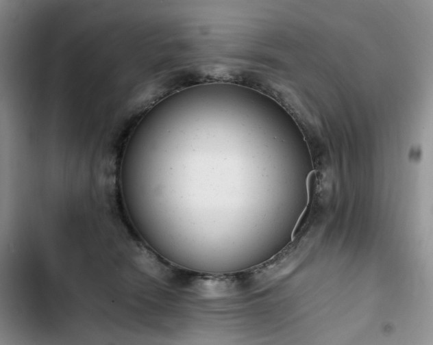 X0000102760466200808251032