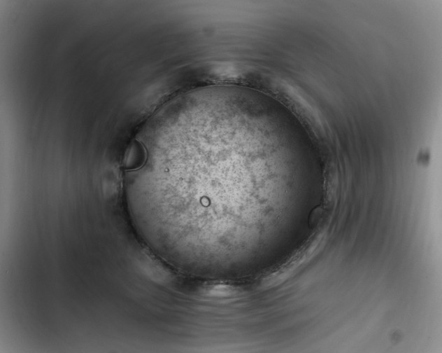 X0000102760467200808251032