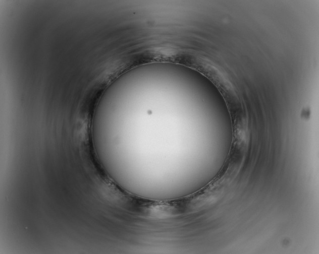 X0000102760468200808251032