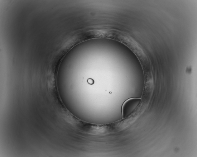 X0000102760469200808251032