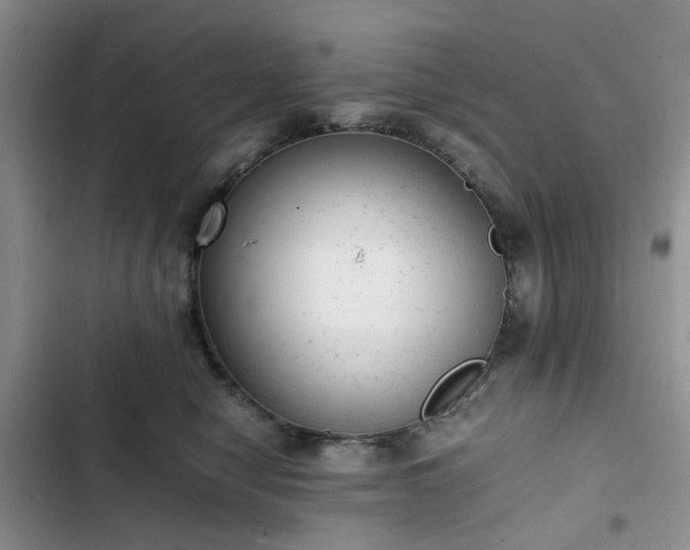 X0000102760470200808251032