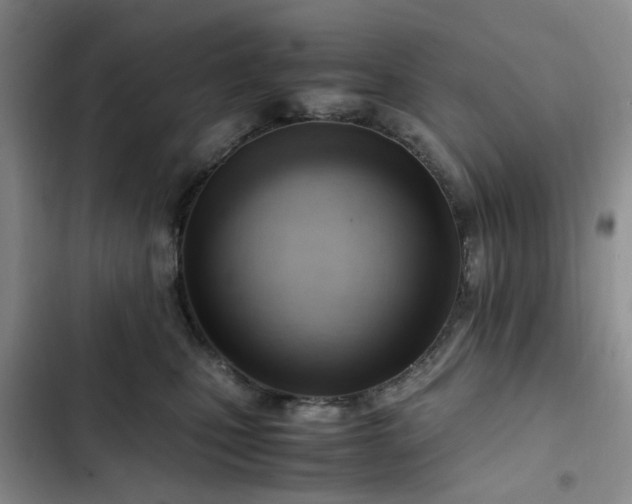 X0000102760471200808251032