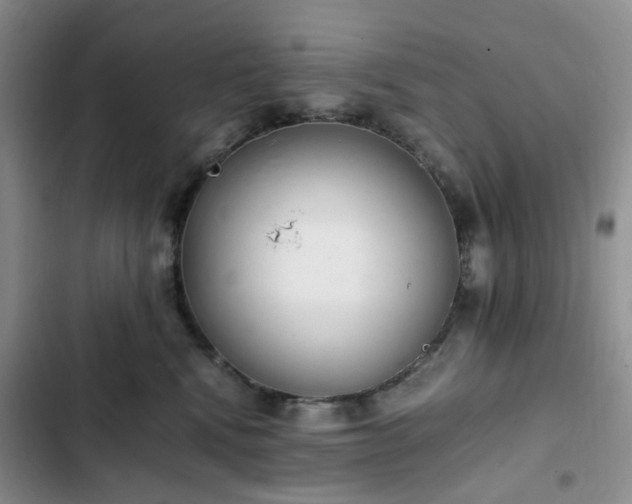 X0000102760472200808251032