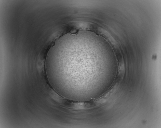 X0000102760473200808251032