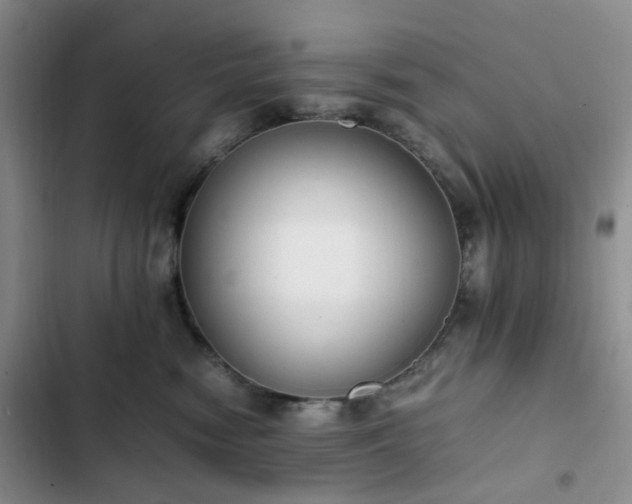 X0000102760474200808251033