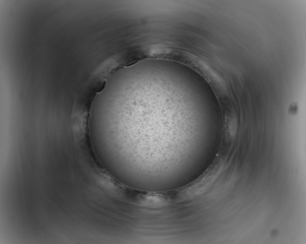 X0000102760475200808251033