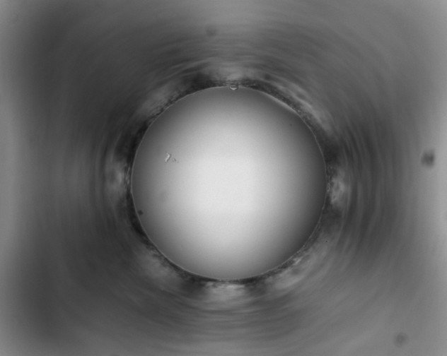 X0000102760476200808251033