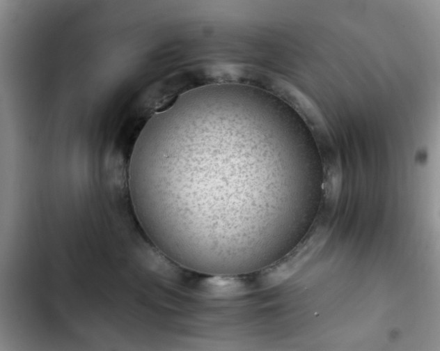 X0000102760477200808251033