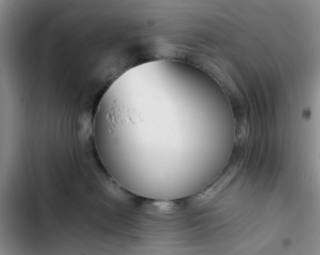 X0000102760478200808251033