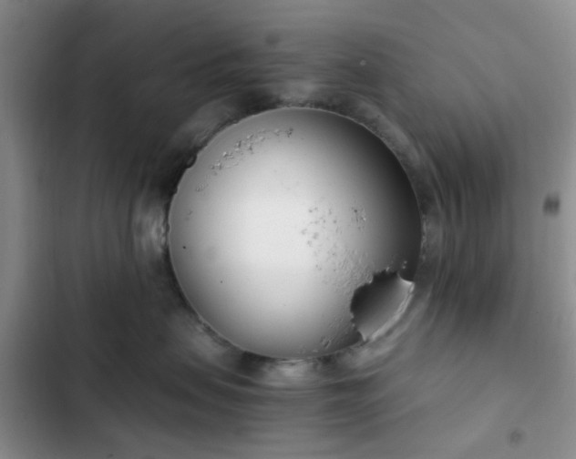 X0000102760479200808251033