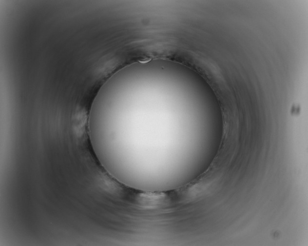 X0000102760480200808251033