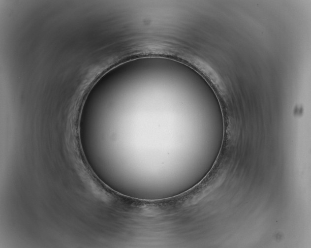 X0000102760481200808251032