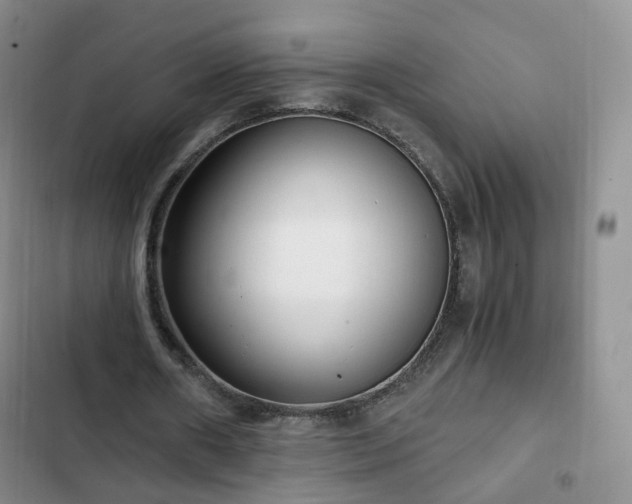 X0000102760482200808251032