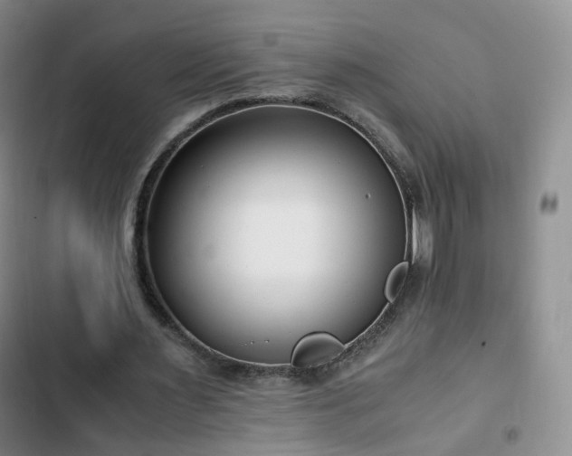 X0000102760483200808251032