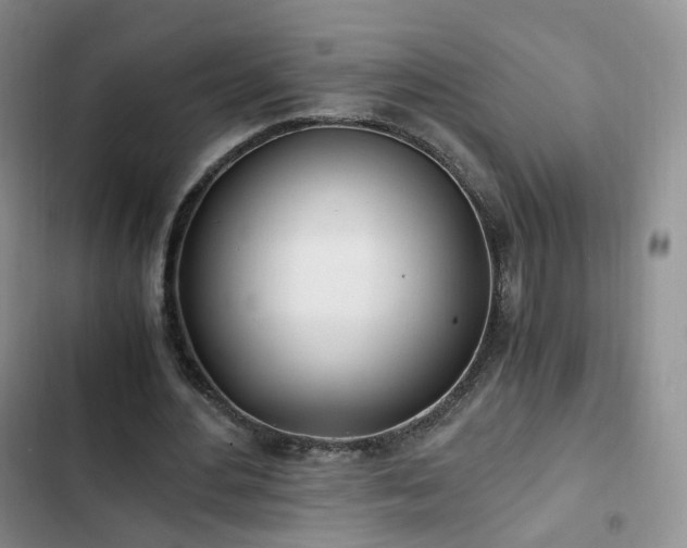 X0000102760484200808251032