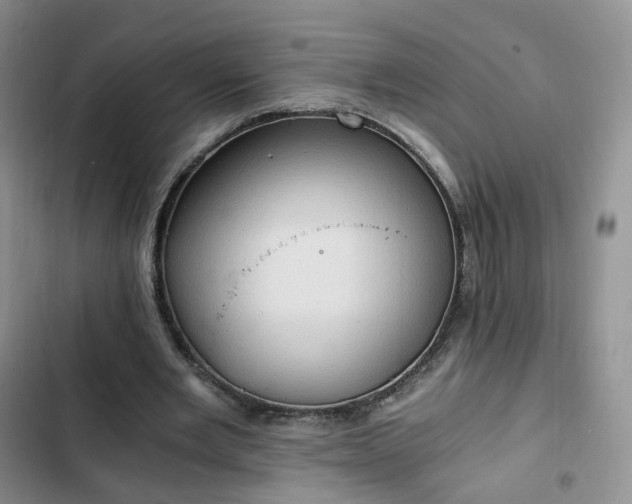 X0000102760485200808251032