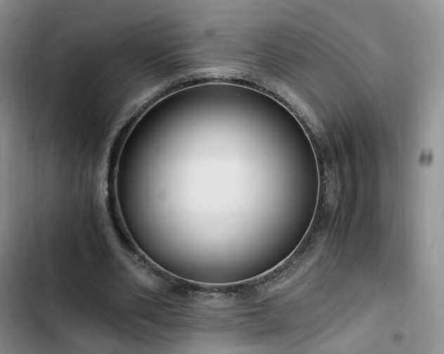 X0000102760486200808251032