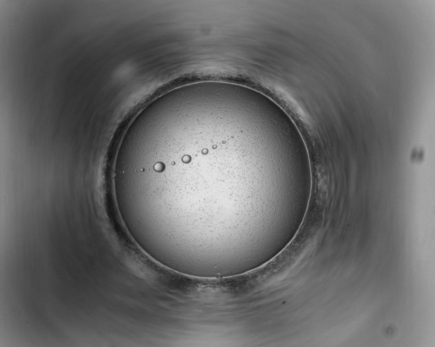 X0000102760487200808251031