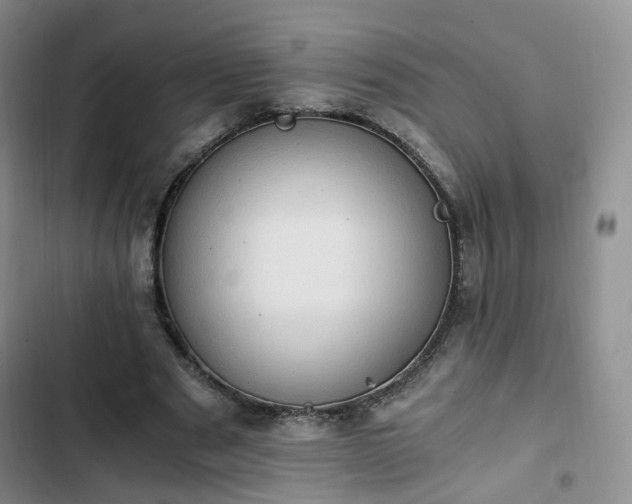 X0000102760489200808251031