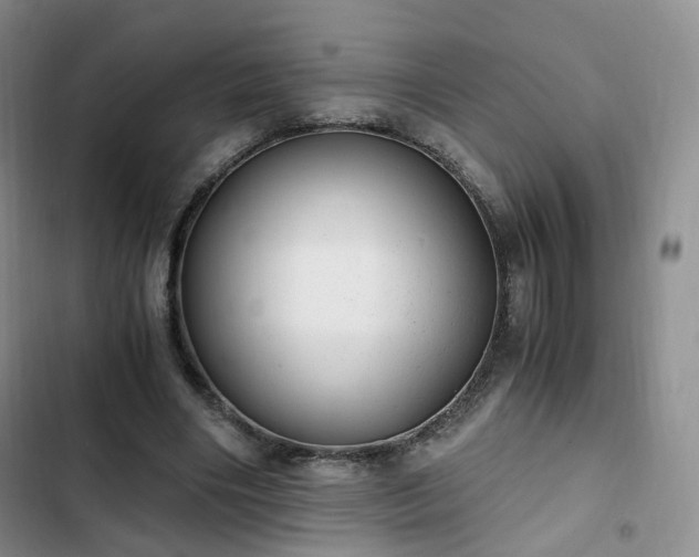 X0000102760490200808251031