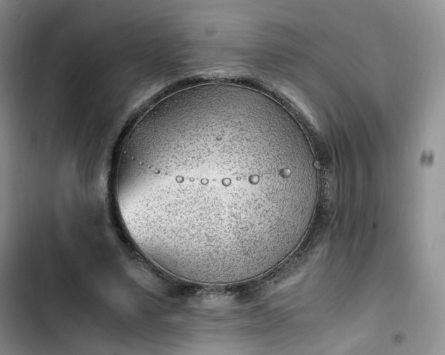 X0000102760491200808251031