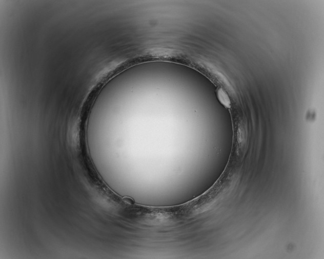 X0000102760492200808251031