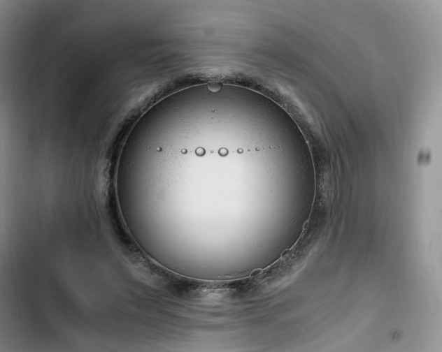 X0000102760495200808251031