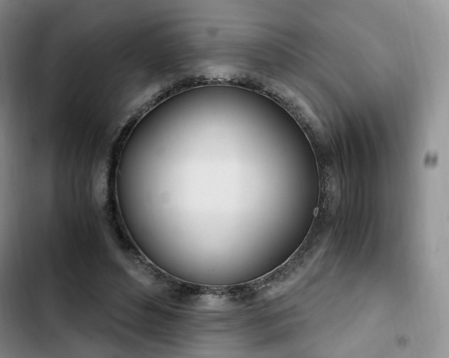 X0000102760496200808251031