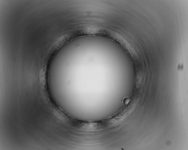 X0000102760497200808251031