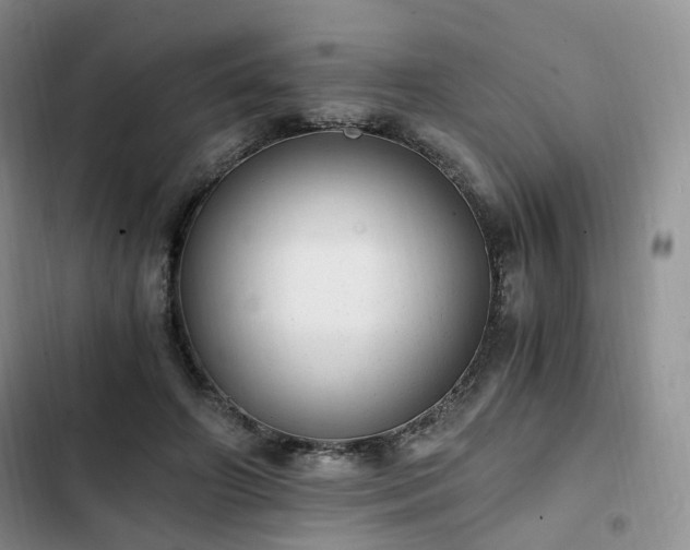 X0000102760498200808251031