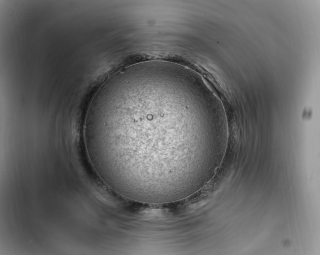 X0000102760499200808251031