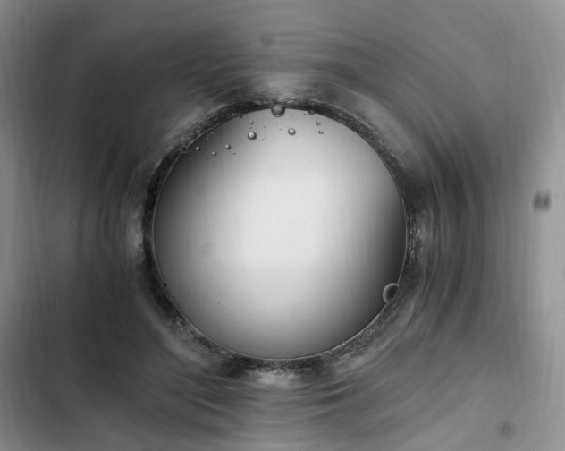 X0000102760500200808251031