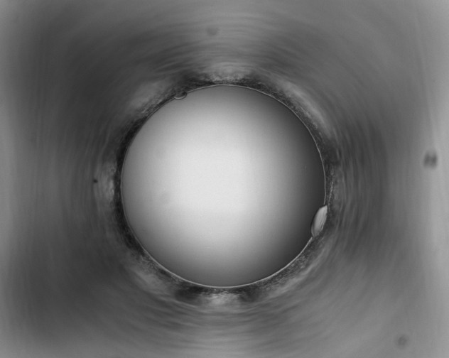 X0000102760501200808251031