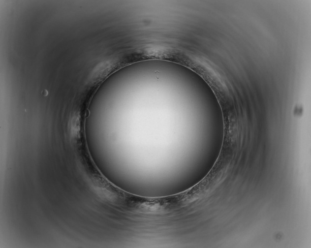 X0000102760502200808251031