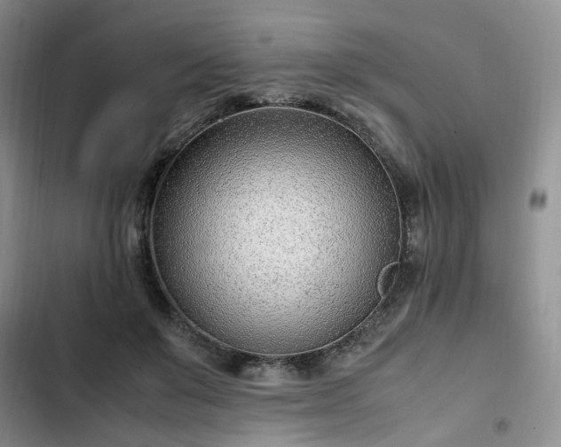 X0000102760503200808251031