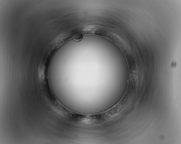 X0000102760504200808251031