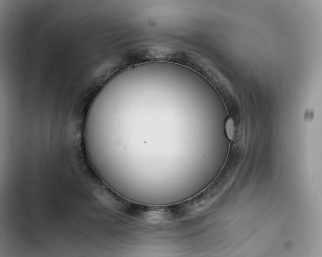 X0000102760505200808251031