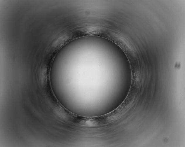 X0000102760506200808251031