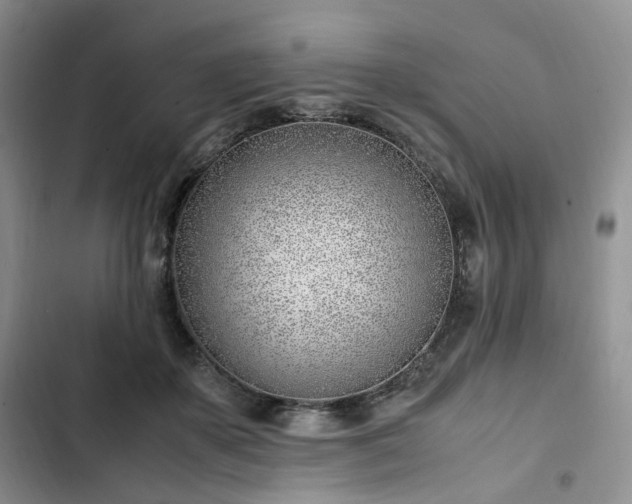 X0000102760507200808251031