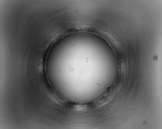 X0000102760508200808251031