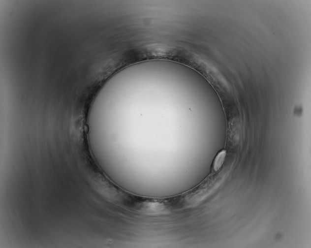 X0000102760509200808251031