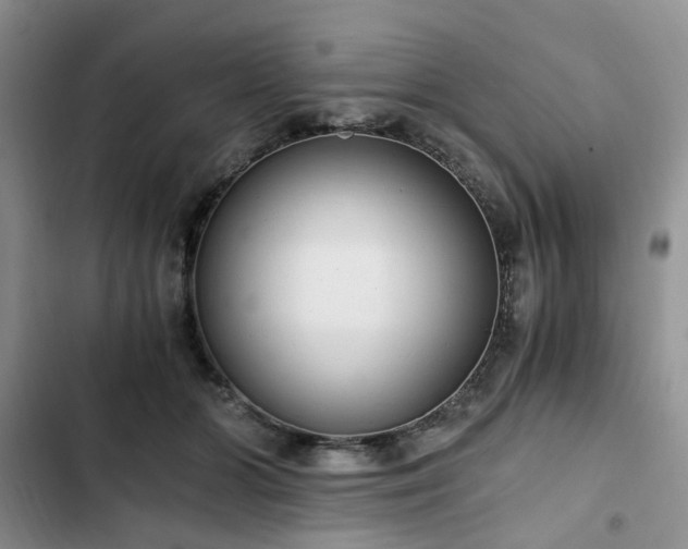 X0000102760510200808251031