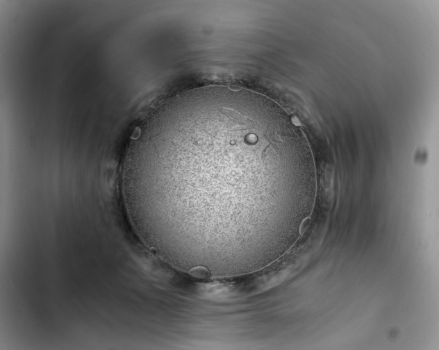 X0000102760511200808251031