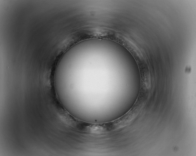 X0000102760512200808251031