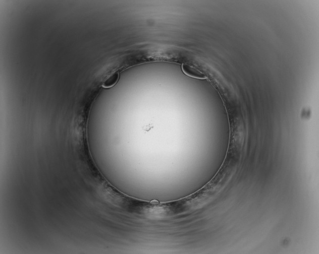 X0000102760513200808251031