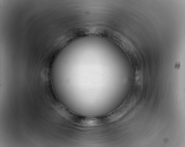 X0000102760514200808251031