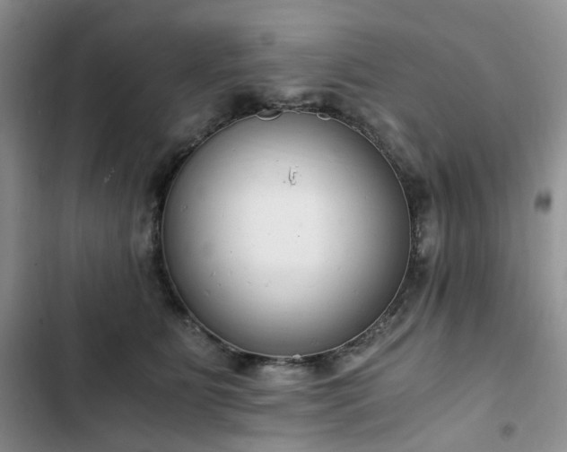 X0000102760515200808251031