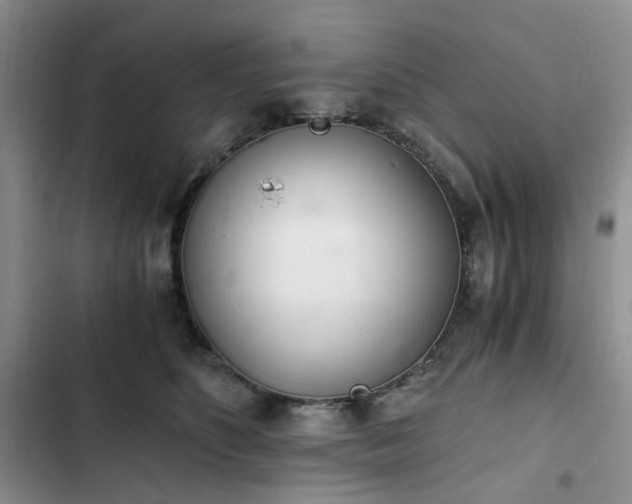 X0000102760516200808251031