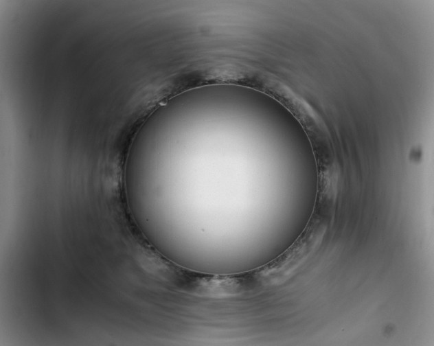 X0000102760517200808251031