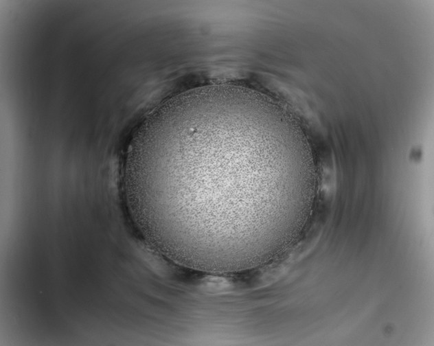 X0000102760519200808251031